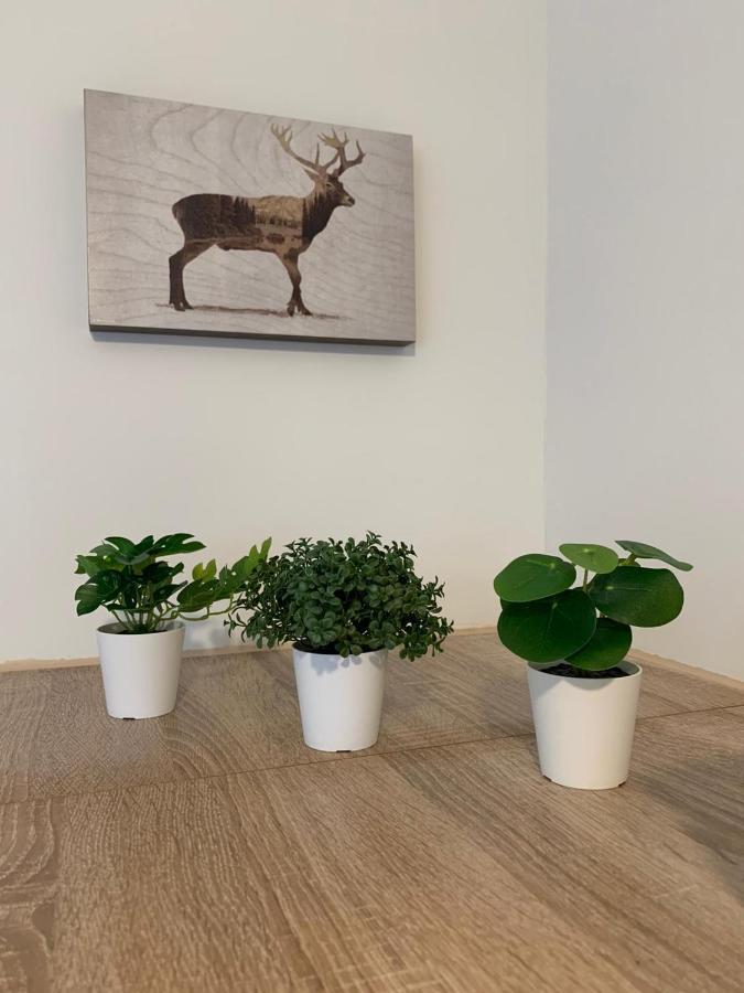 Koblenz City Rooms, Wifi, Netflix Bagian luar foto